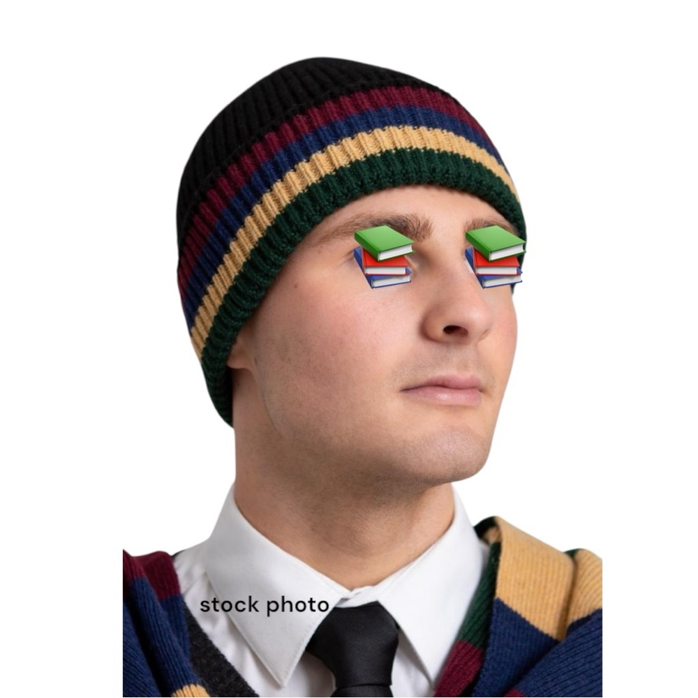 Harry Potter Hogwarts Hat Beanie Toque Wool Blend Collector Authentic Replica